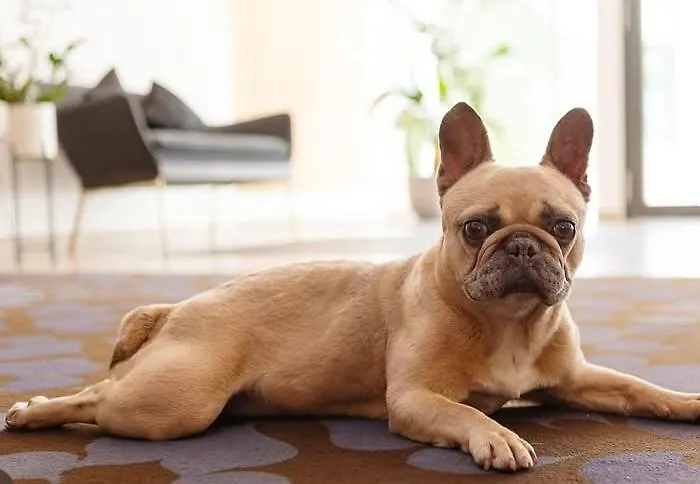 An Der Wasserburg 4* Wolfsburg